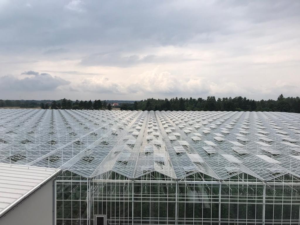 Widok na szklarnie z boku.