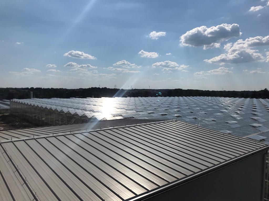 Widok na szklarnie z góry.